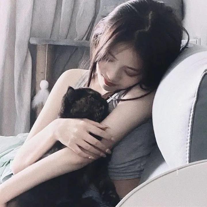 黑皮书