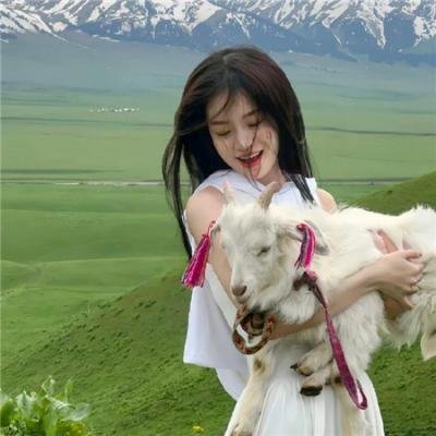 上海风云之夺宝金龙